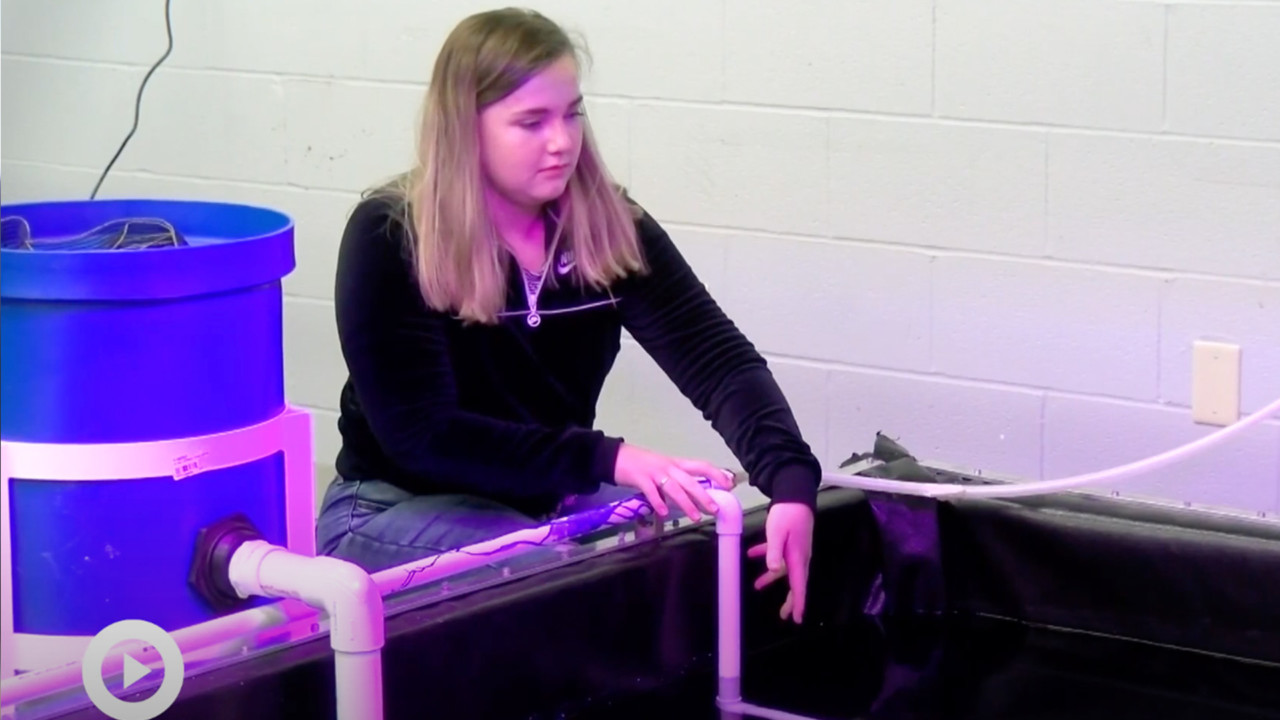 This story was produced by Amina Softic, Elizabeth Chism, Kylie Pyles, Aidan Scott, and Maxwell Whitaker at Hardin County Early College and Career Center in Elizabethtown, Kentucky with support from Connected Educator Mary Dunn. Related local station: KET.