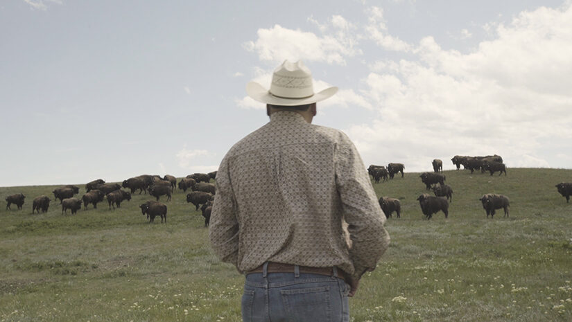 Ervin and Elk Island